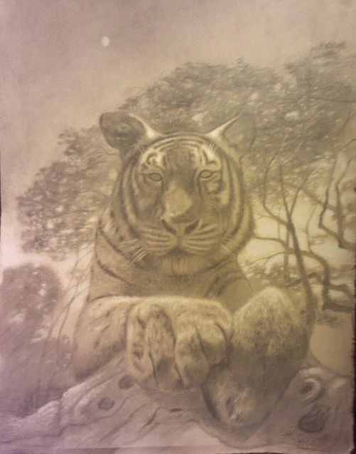 The Year Of The Tiger