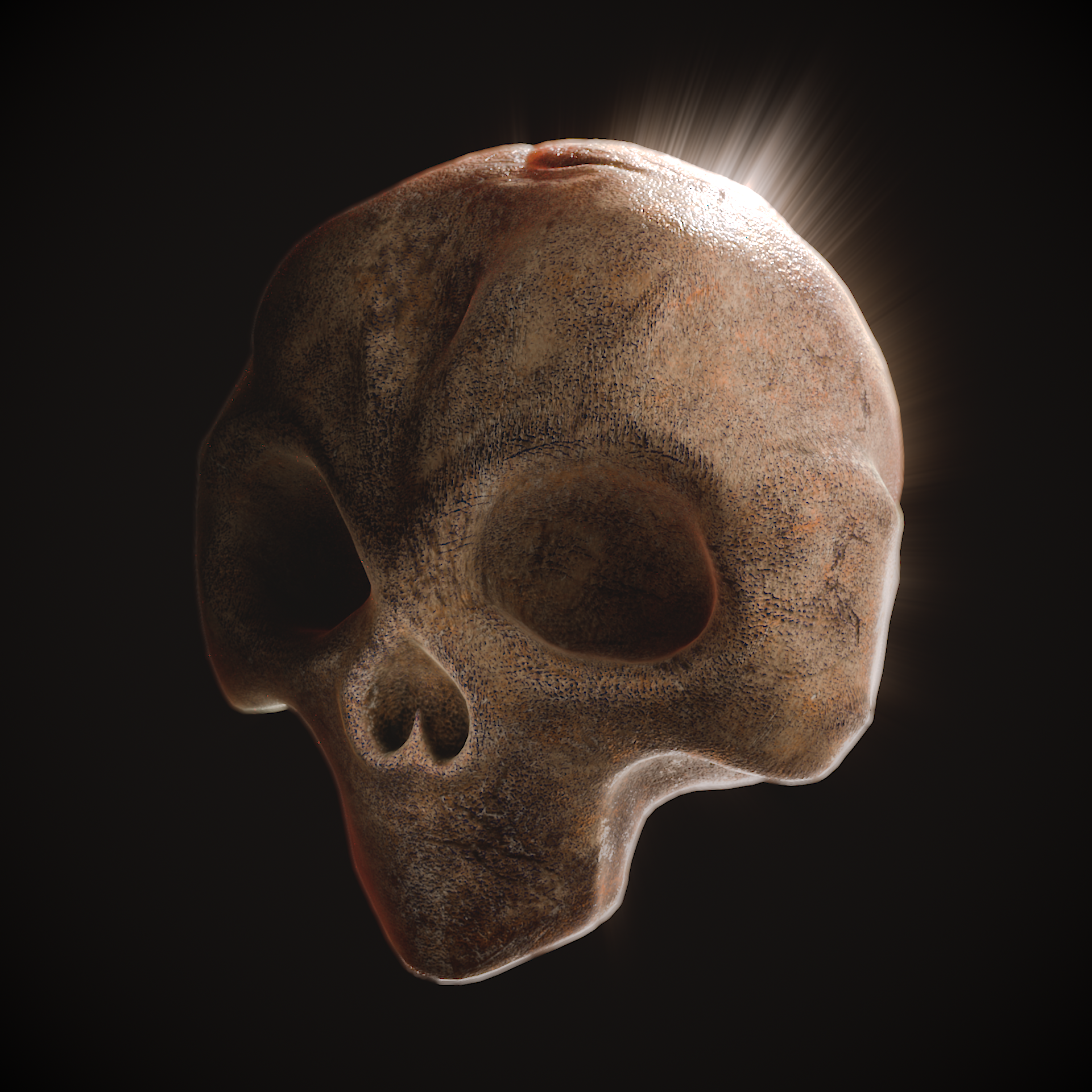 Skull_pic1