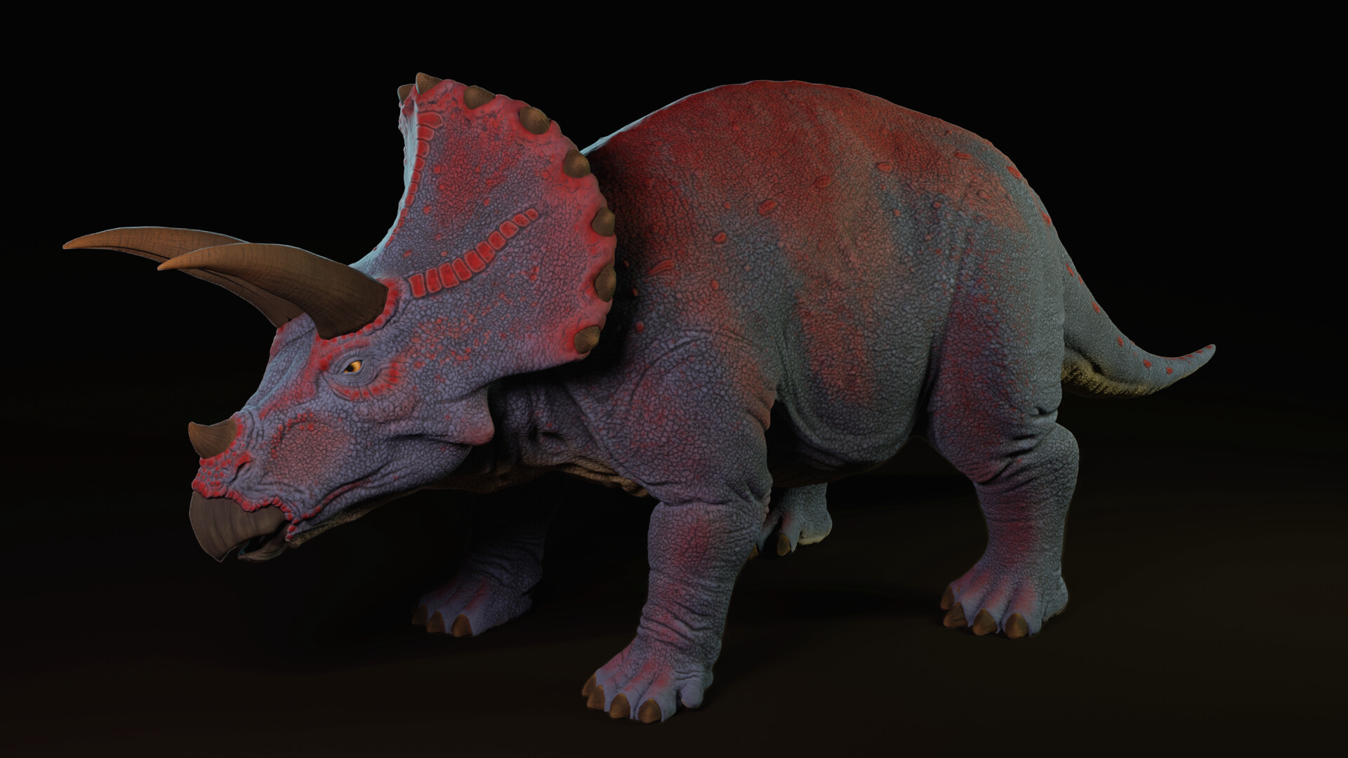 Triceratops