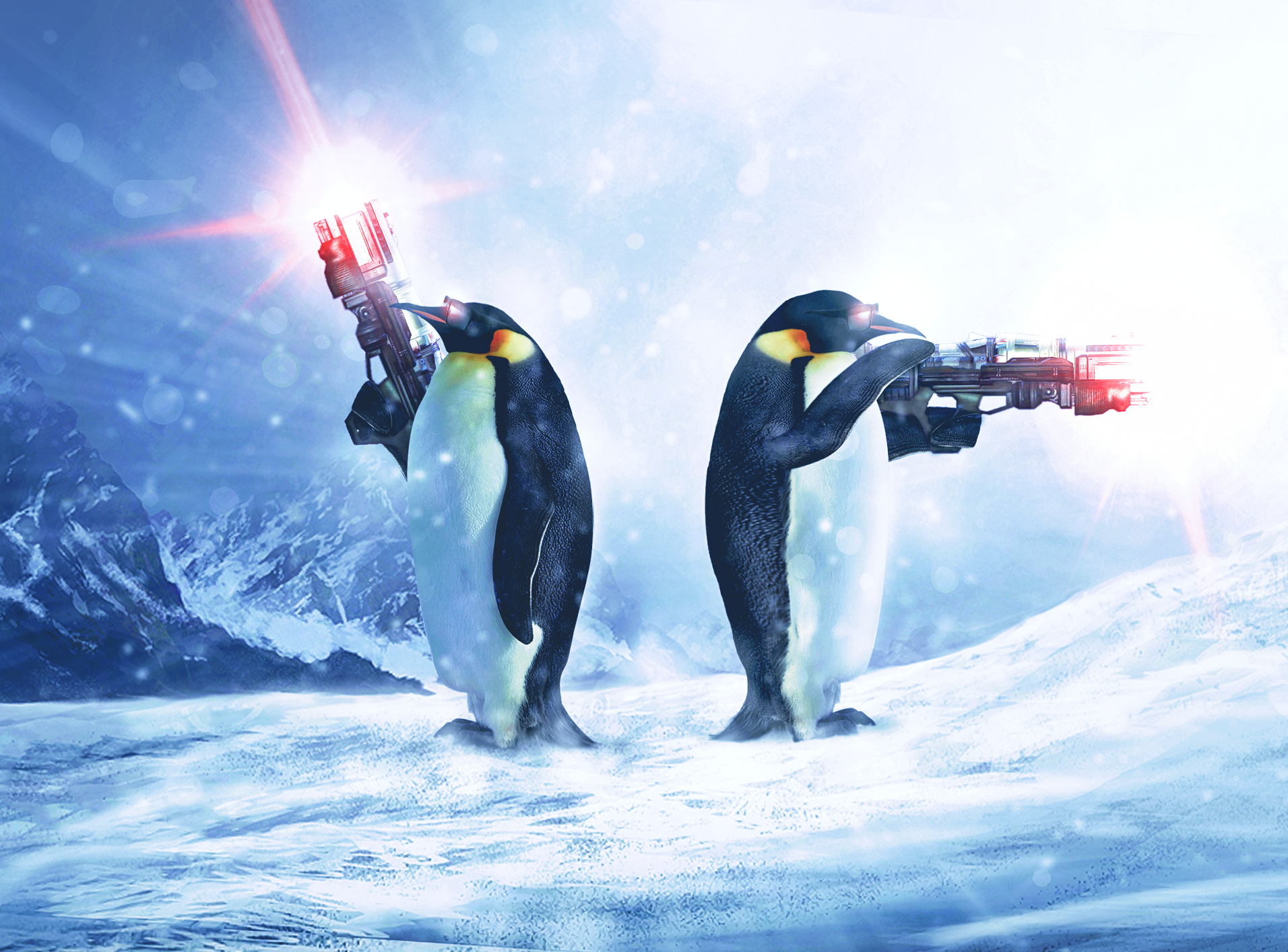 The Penguins In Black