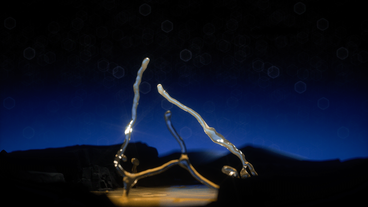 The Light That Touches the Night