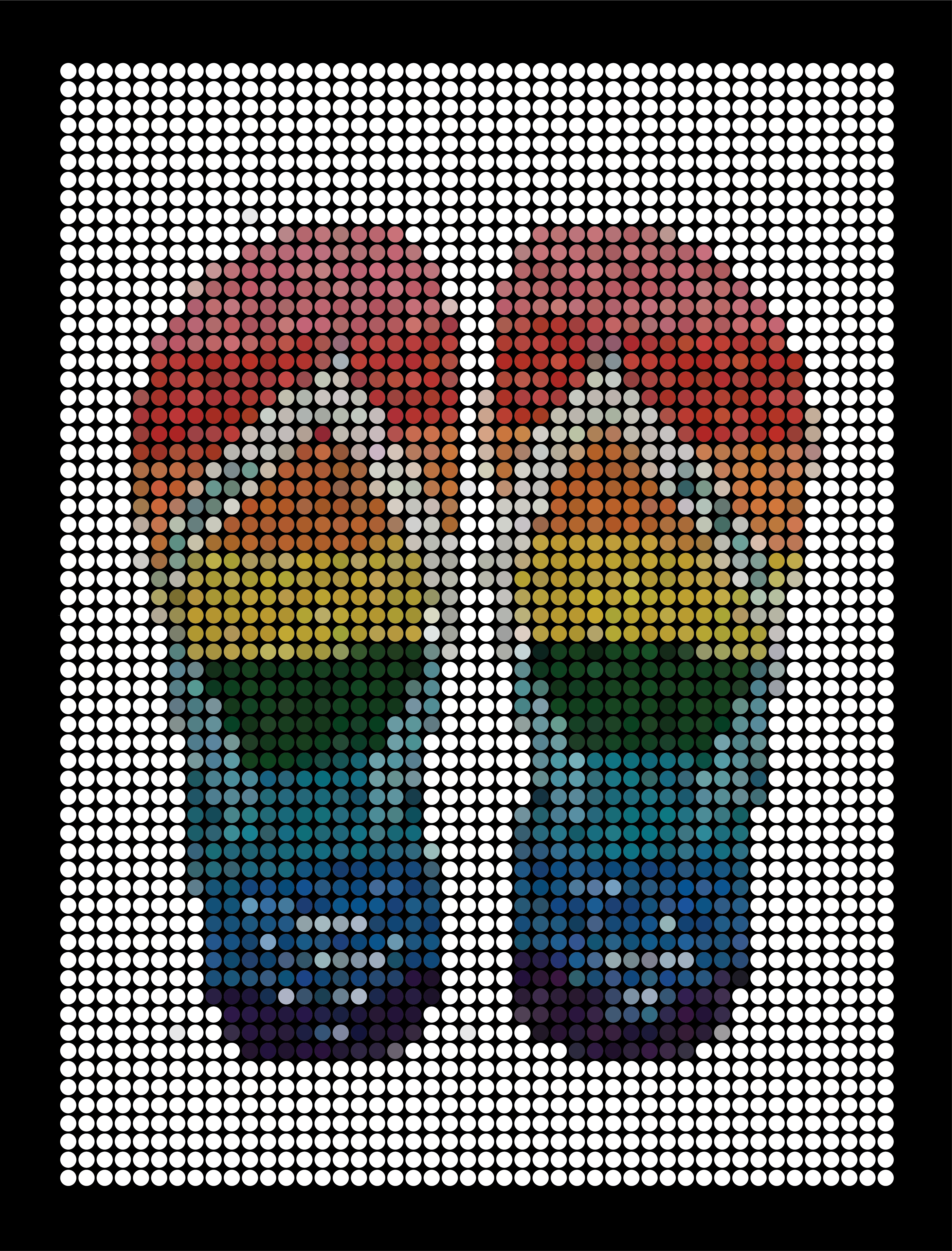 Rainbow Havaianas flip flops