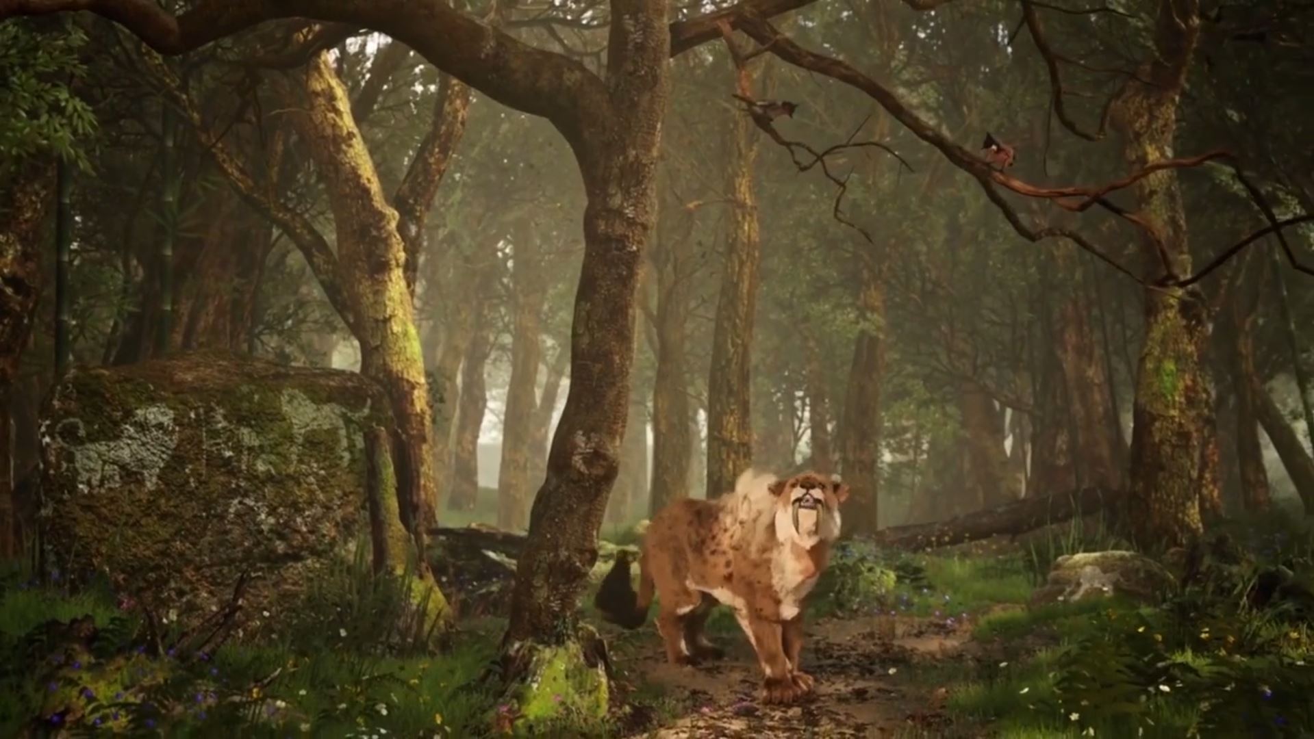 sabretooth Hunting sparrows