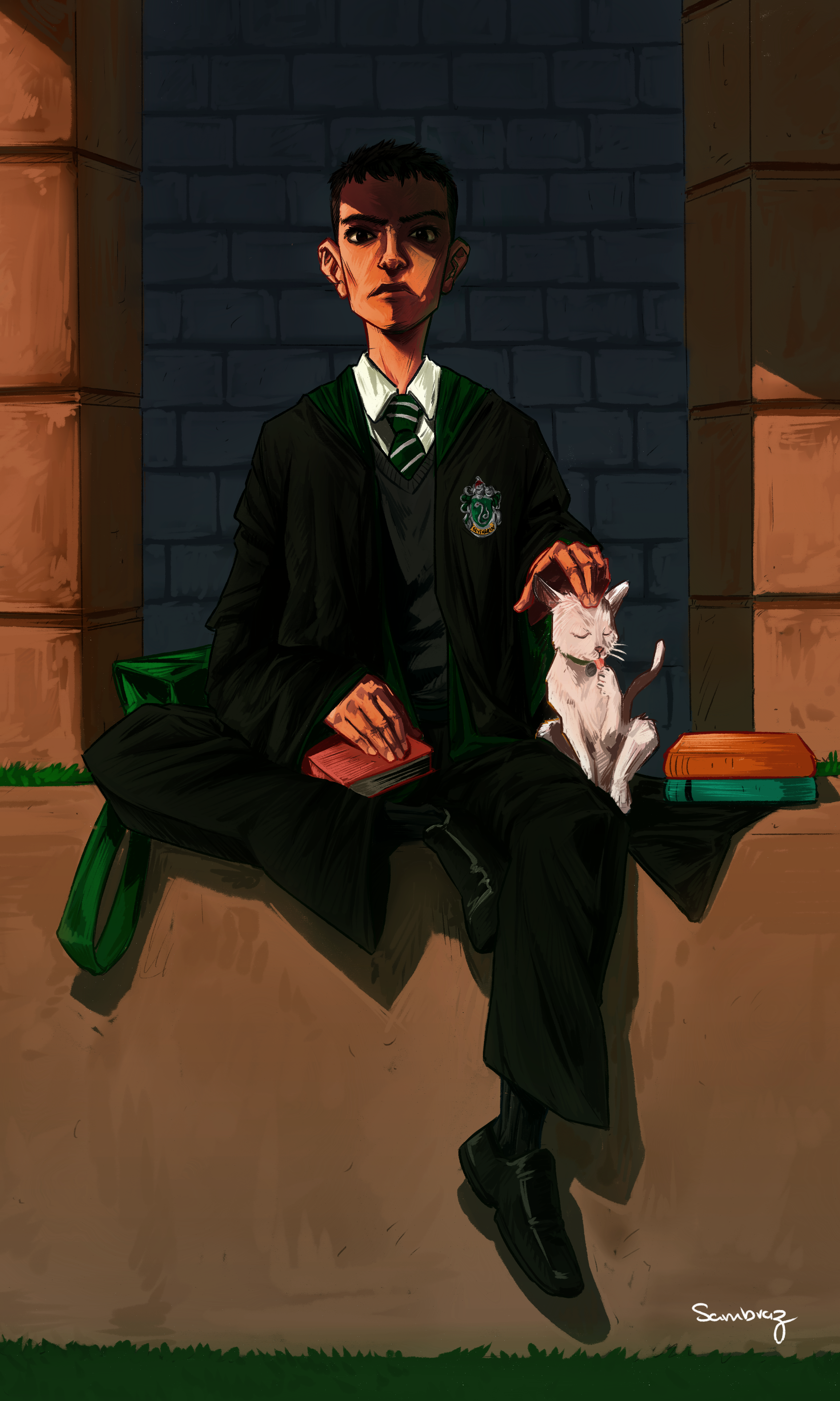 Slytherin Boy