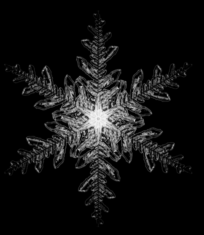 Snowflake