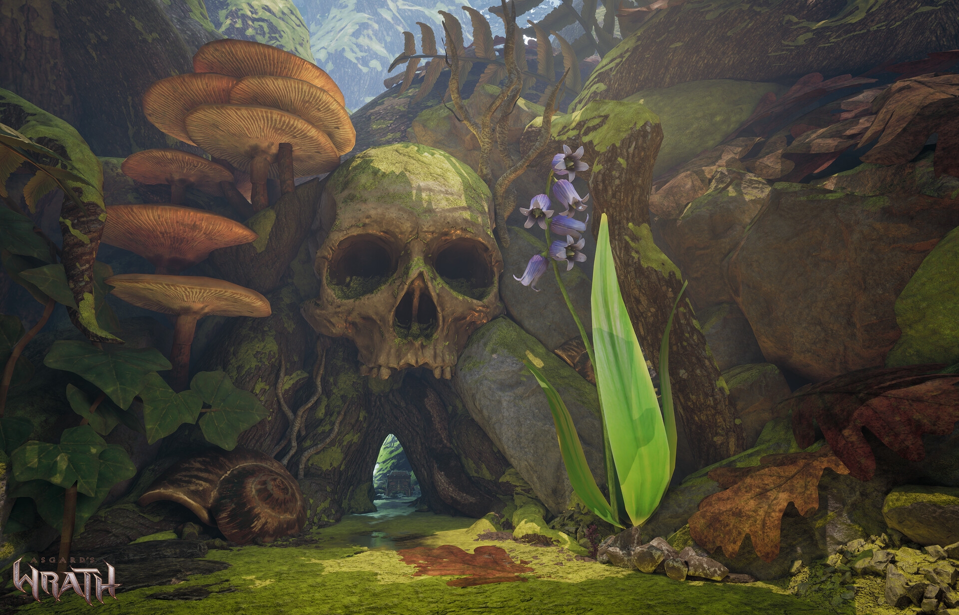 The face of Mortality