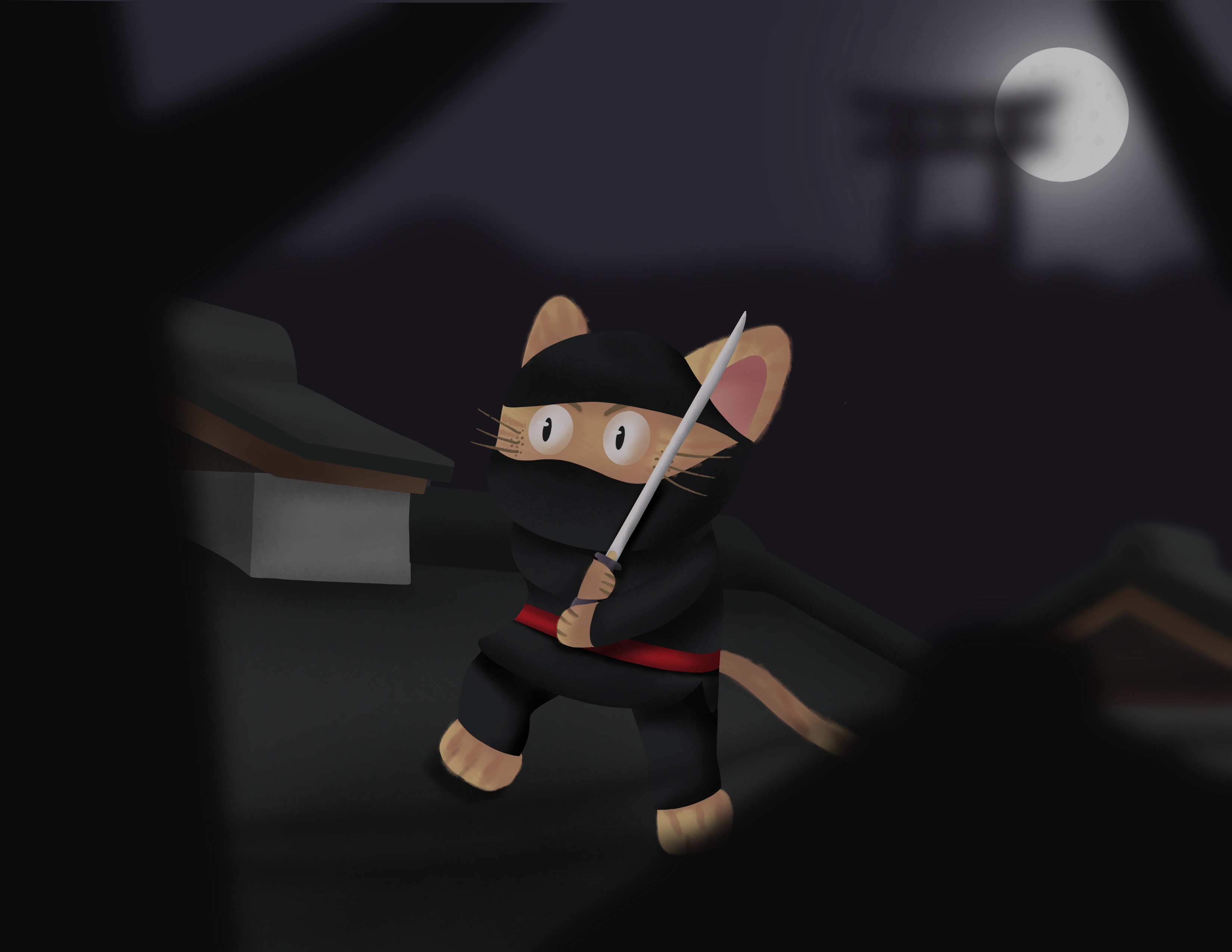 Ninja Cat at Midnight