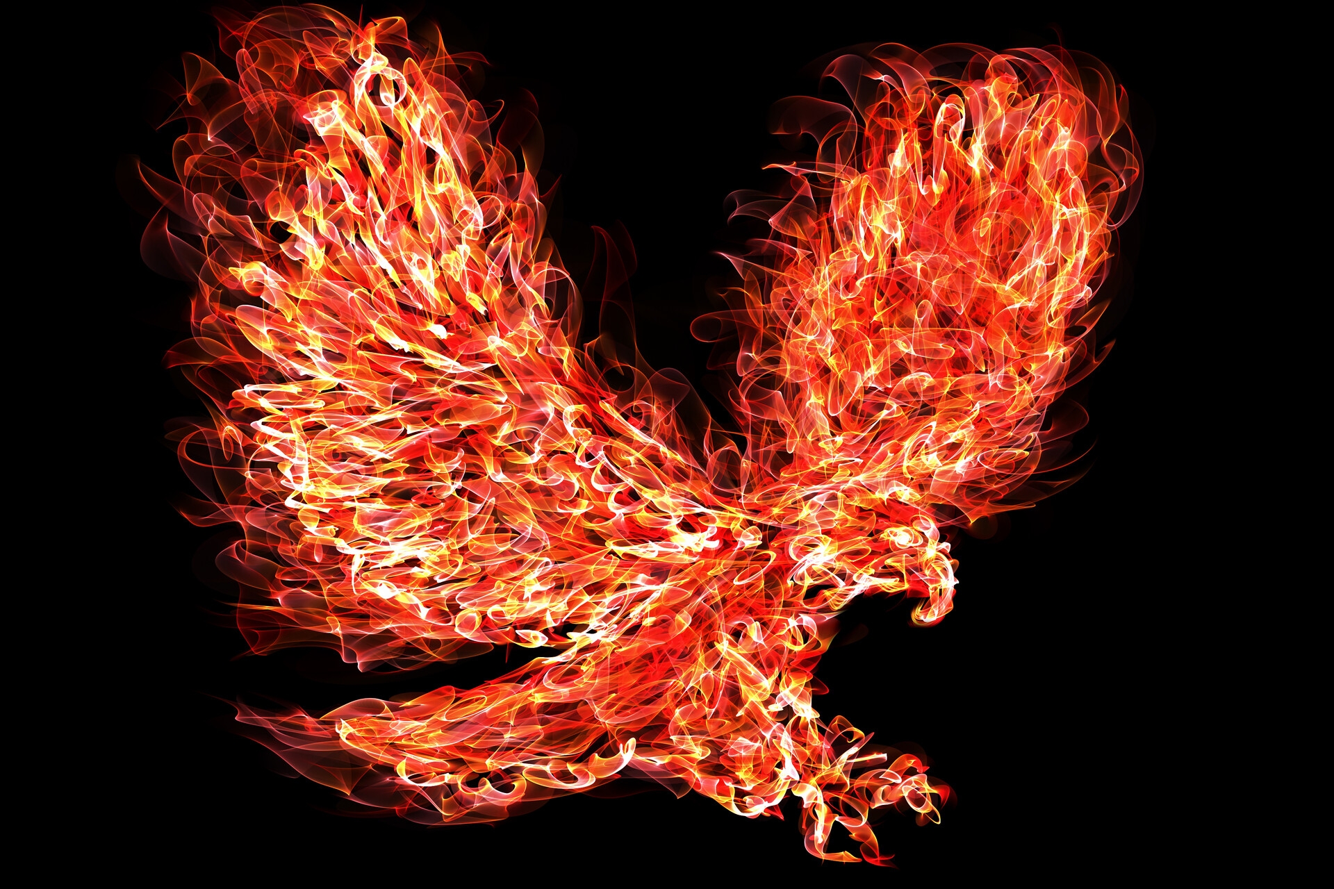 The Eagle Of Flame