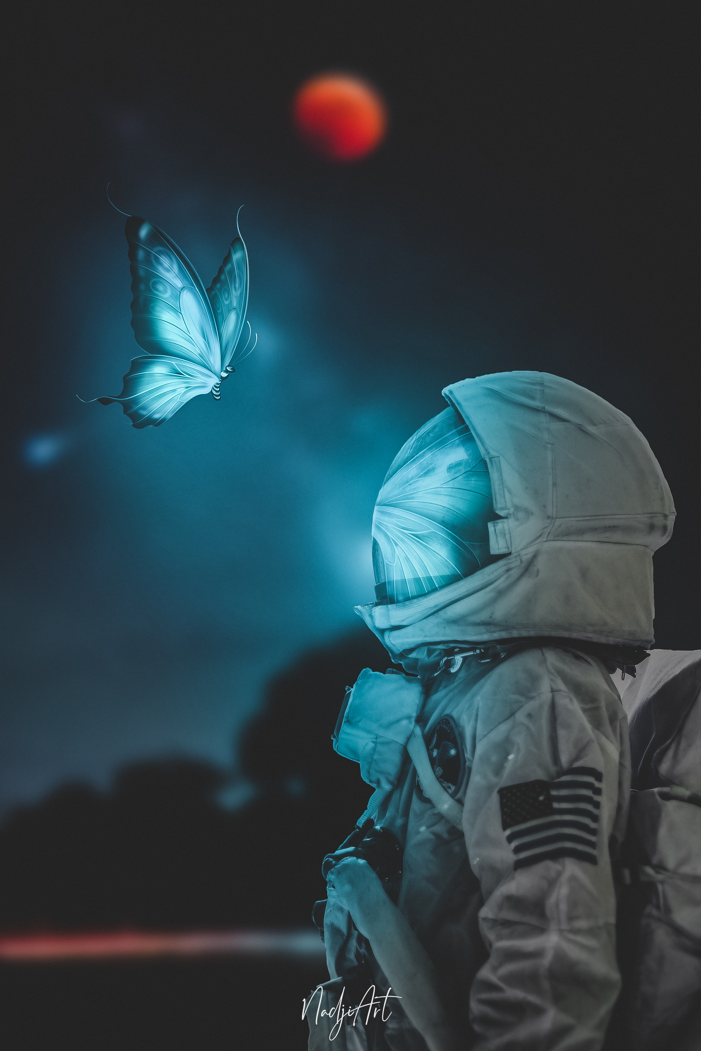 Butterfly Astronauts