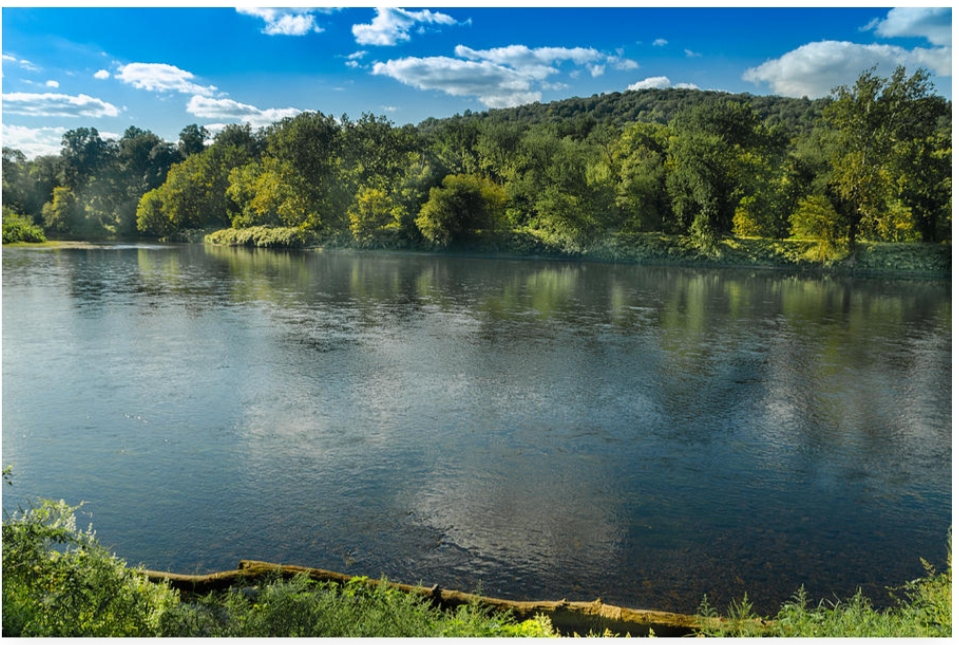 A Reflection of Skies, Trees and Water